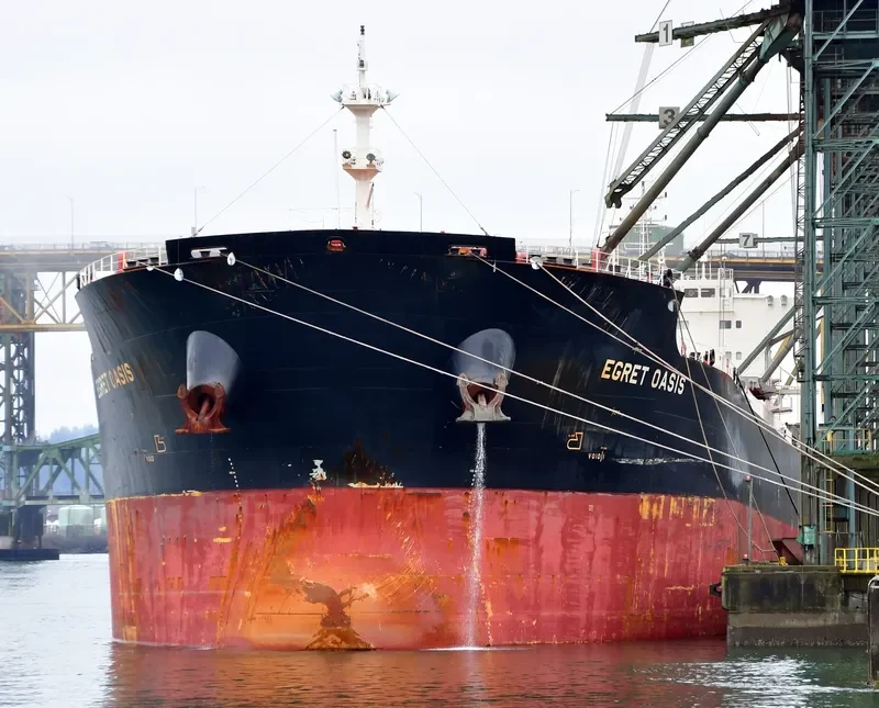 EGRET OASIS Bulk Carrier IMO 9592006 photo 9