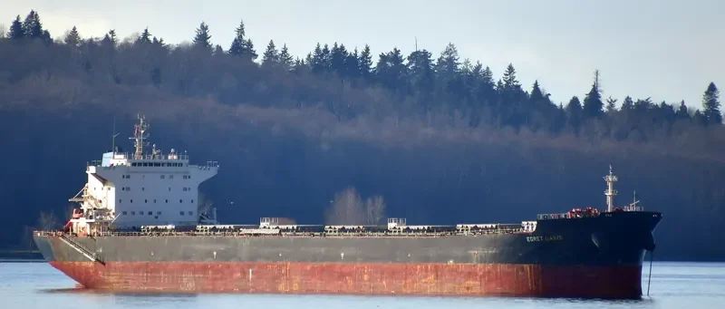 EGRET OASIS Bulk Carrier IMO 9592006 photo 10