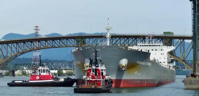 PANAGIA STENION Bulk Carrier IMO 9592020