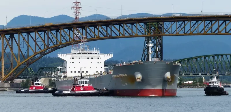 PANAGIA STENION Bulk Carrier IMO 9592020 photo 2