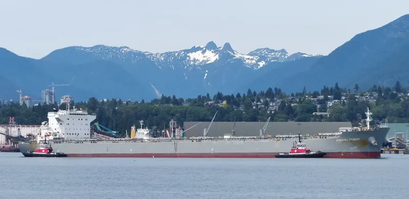 PANAGIA STENION Bulk Carrier IMO 9592020 photo 3