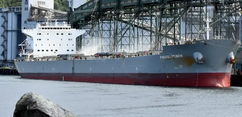 PANAGIA STENION Bulk Carrier IMO 9592020 photo 4