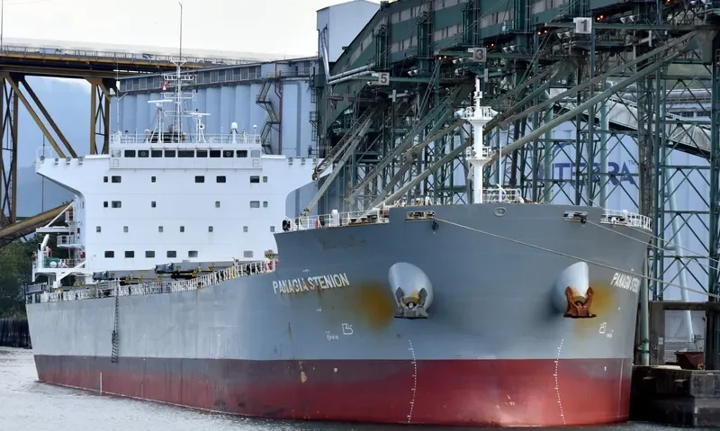 PANAGIA STENION Bulk Carrier IMO 9592020 photo 5