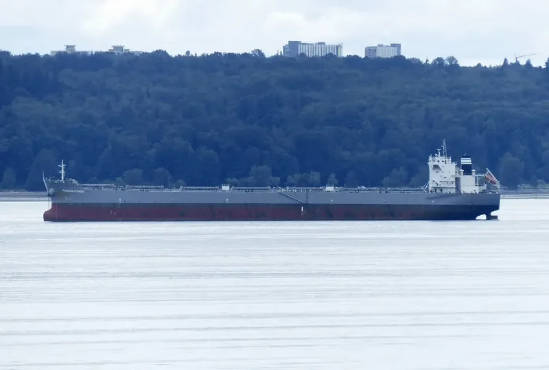 PANAGIA STENION Bulk Carrier IMO 9592020 photo 6