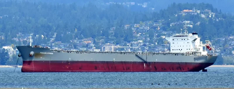 PANAGIA STENION Bulk Carrier IMO 9592020 photo 7