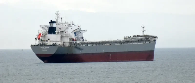 PANAGIA STENION Bulk Carrier IMO 9592020 photo 8