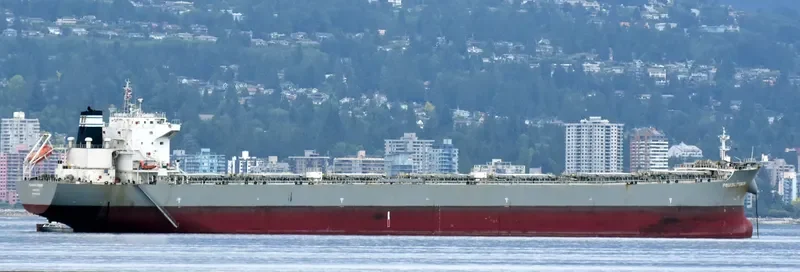 PANAGIA STENION Bulk Carrier IMO 9592020 photo 9