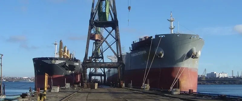 PANAGIA STENION Bulk Carrier IMO 9592020 photo 10