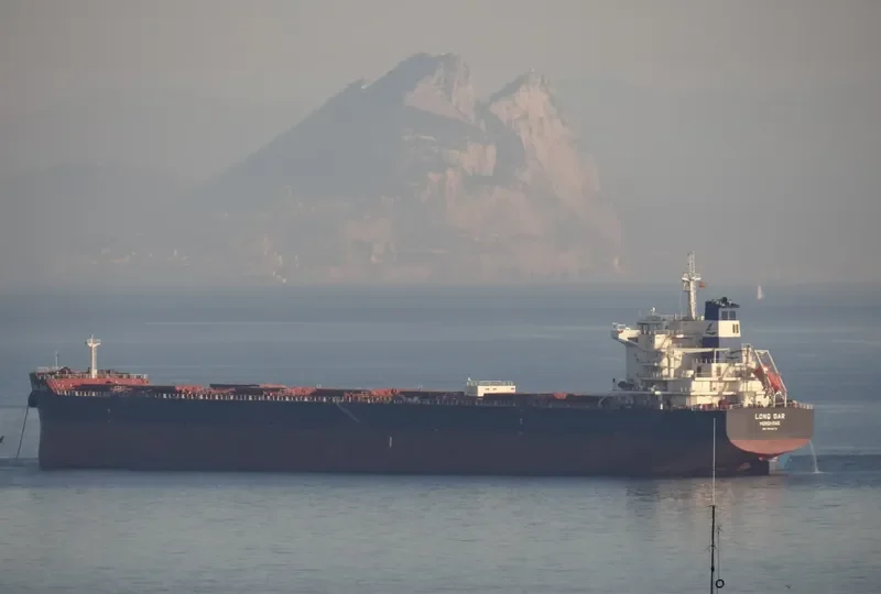 OCEAN ROSEMARY Bulk Carrier IMO 9592070 photo 2