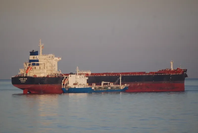 OCEAN ROSEMARY Bulk Carrier IMO 9592070 photo 5