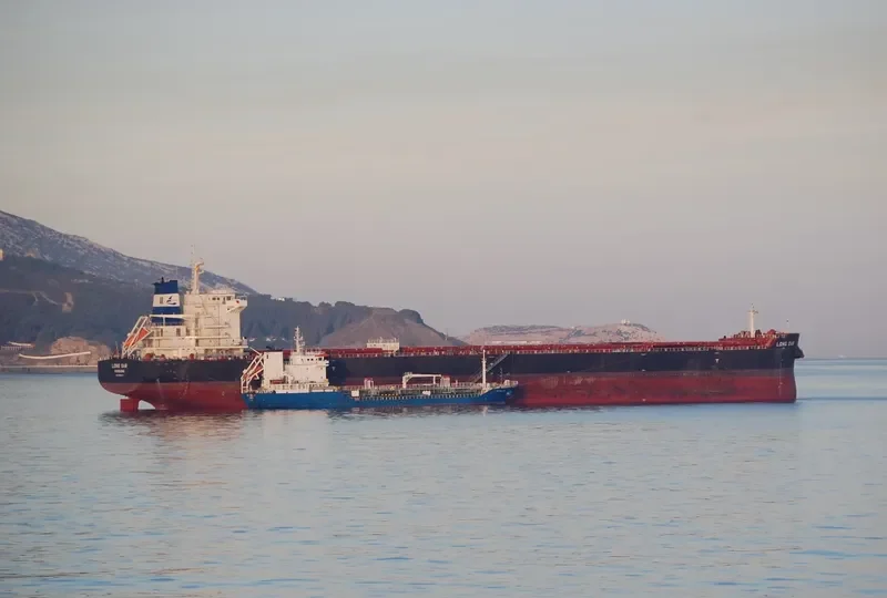 OCEAN ROSEMARY Bulk Carrier IMO 9592070 photo 7