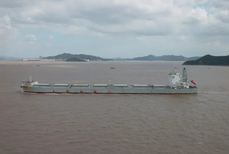 PLATANOS Bulk Carrier IMO 9592135 photo 2