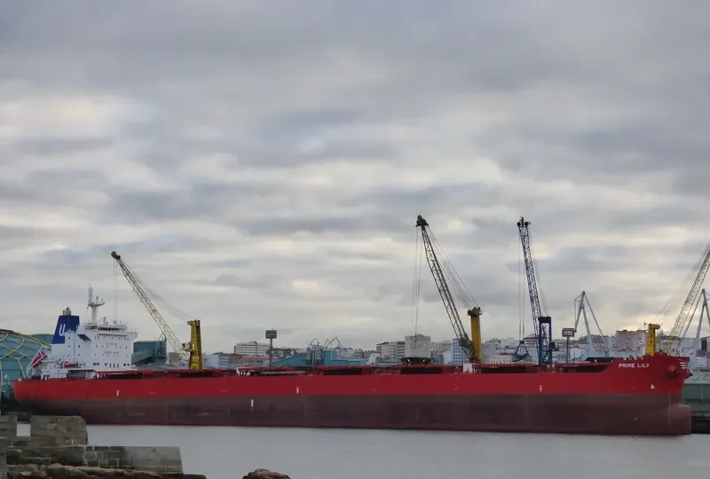 EVMILOS Bulk Carrier IMO 9592173 photo 3