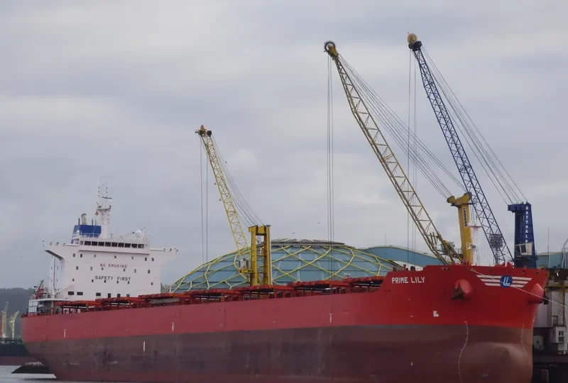 EVMILOS Bulk Carrier IMO 9592173 photo 4