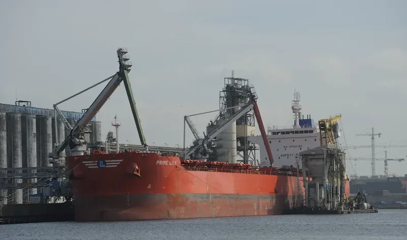 EVMILOS Bulk Carrier IMO 9592173 photo 6