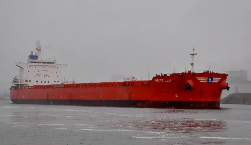 EVMILOS Bulk Carrier IMO 9592173 photo 9