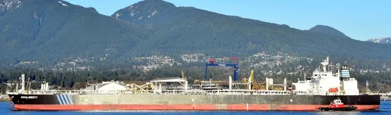 AQUALIBERTY Tanker IMO 9592226 photo 3