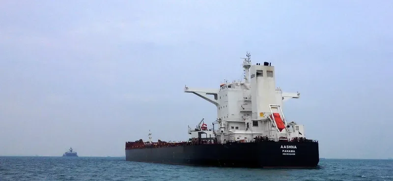 AASHNA Bulk Carrier IMO 9592458 photo 3
