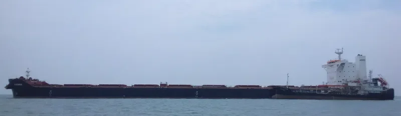 AASHNA Bulk Carrier IMO 9592458 photo 4