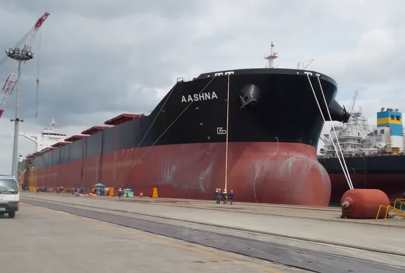 AASHNA Bulk Carrier IMO 9592458 photo 6