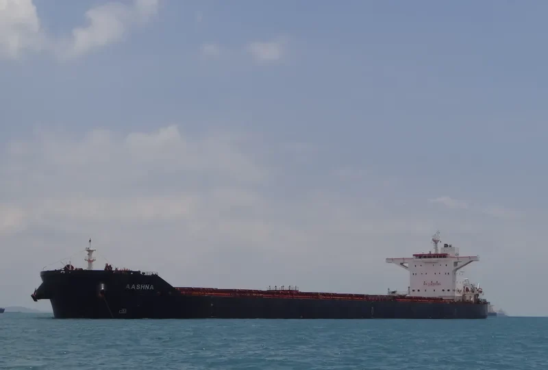 AASHNA Bulk Carrier IMO 9592458 photo 7