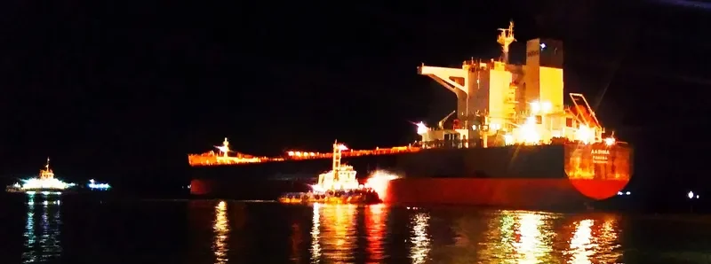 AASHNA Bulk Carrier IMO 9592458 photo 10