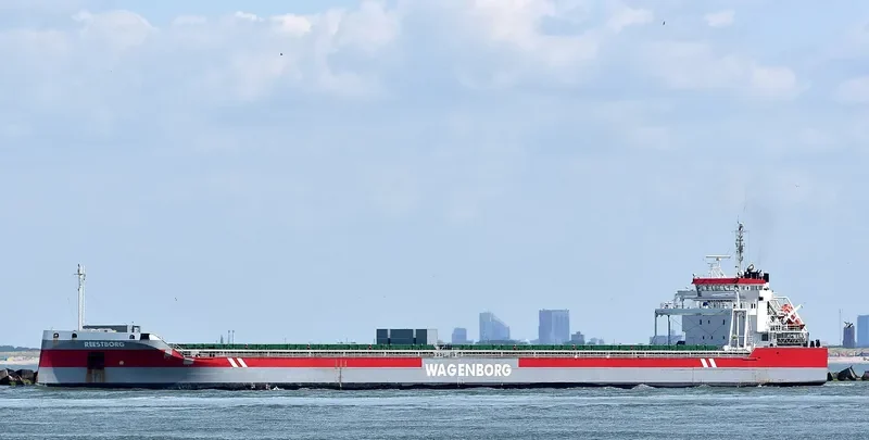 REESTBORG Container Ship IMO 9592563