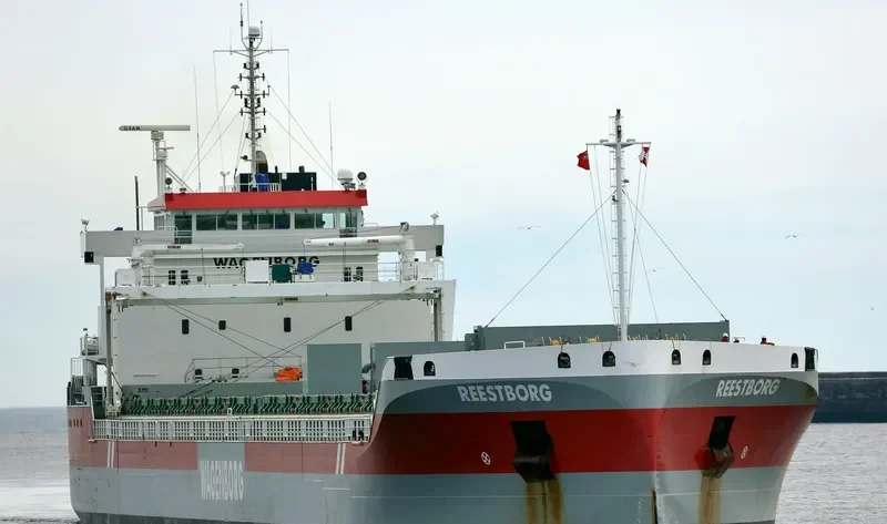 REESTBORG Container Ship IMO 9592563 photo 4