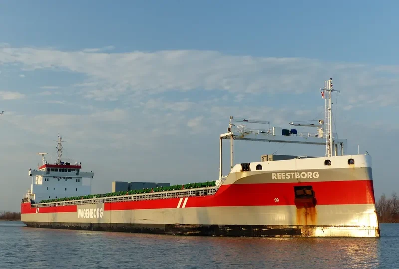 REESTBORG Container Ship IMO 9592563 photo 5