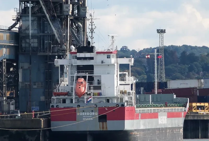 ROERBORG Container Ship IMO 9592599