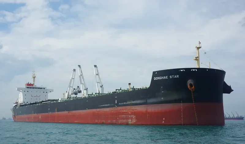 DONGHAE STAR Bulk Carrier IMO 9592604