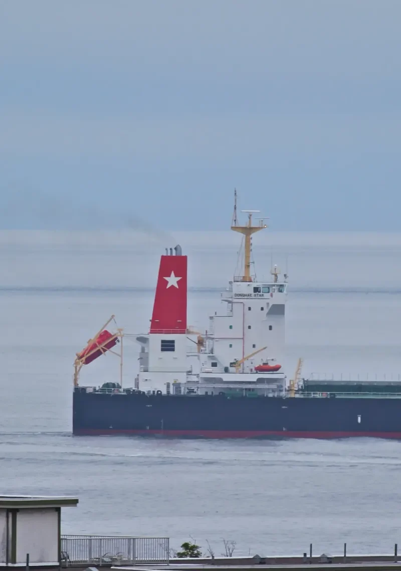 DONGHAE STAR Bulk Carrier IMO 9592604 photo 5