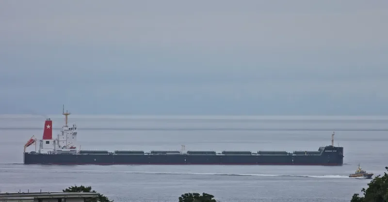 DONGHAE STAR Bulk Carrier IMO 9592604 photo 6