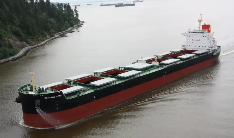 DONGHAE STAR Bulk Carrier IMO 9592604 photo 9