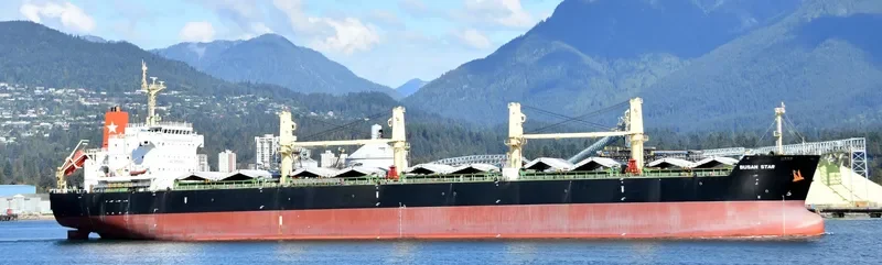 BUSAN STAR Bulk Carrier IMO 9592628 photo 4