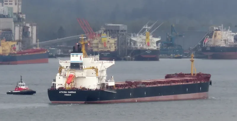 ATHINA CARRAS Bulk Carrier IMO 9592719 photo 2