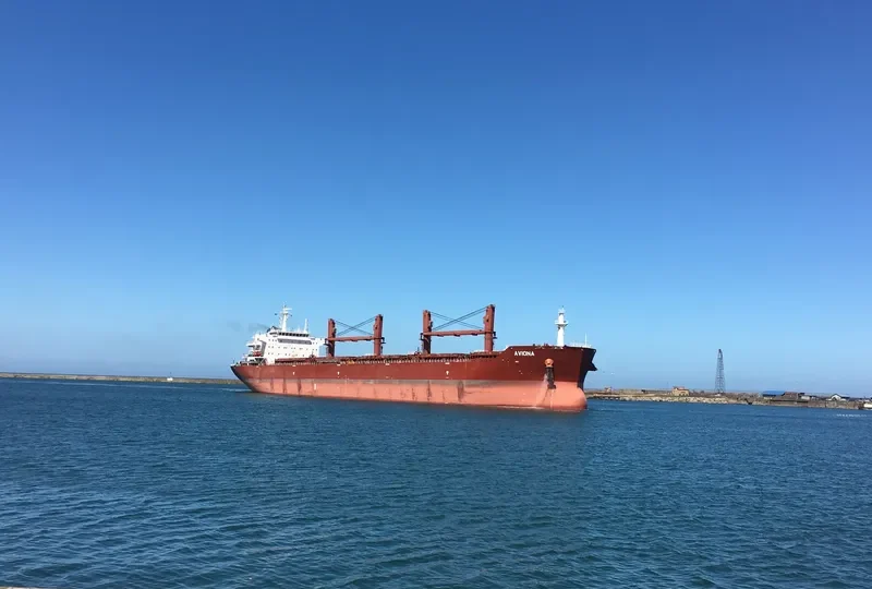 AVIONA Bulk Carrier IMO 9592745 photo 2