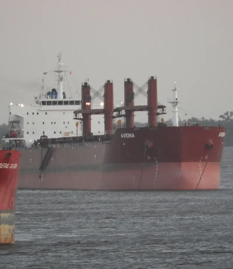 AVIONA Bulk Carrier IMO 9592745 photo 3
