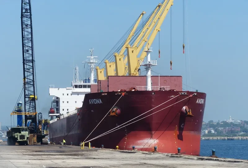 AVIONA Bulk Carrier IMO 9592745 photo 4