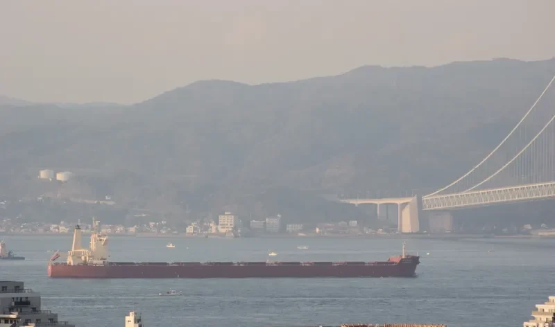 NAVIOS ACE Bulk Carrier IMO 9592771 photo 4