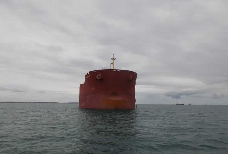 NAVIOS ACE Bulk Carrier IMO 9592771 photo 8