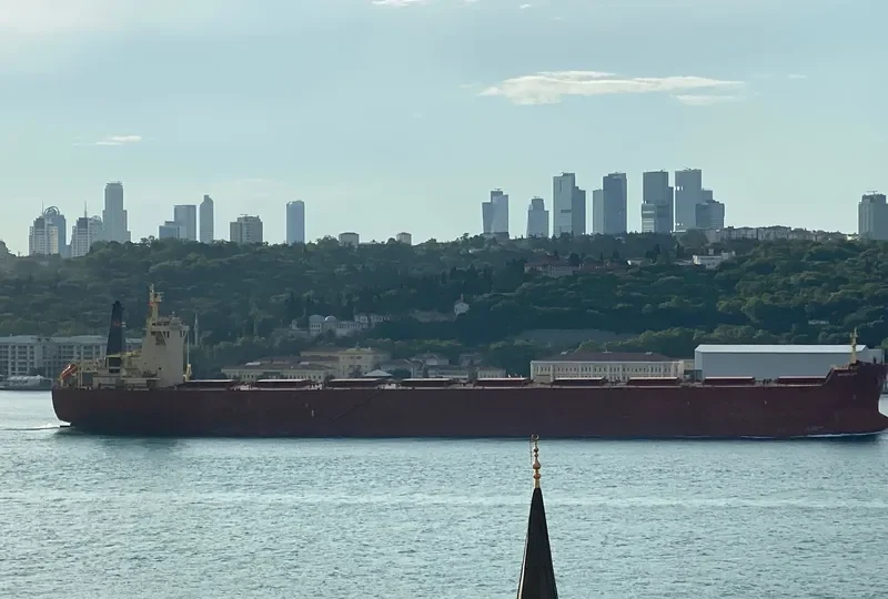 NAVIOS ACE Bulk Carrier IMO 9592771 photo 9
