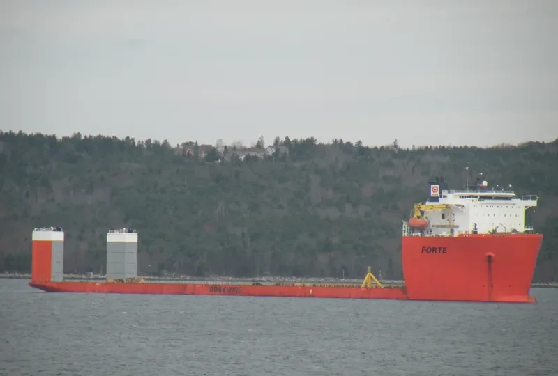 FORTE General Cargo IMO 9592848