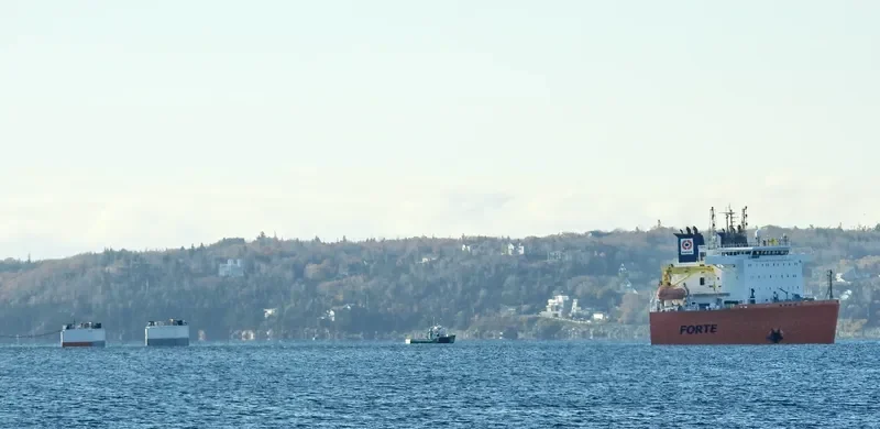 FORTE General Cargo IMO 9592848 photo 2