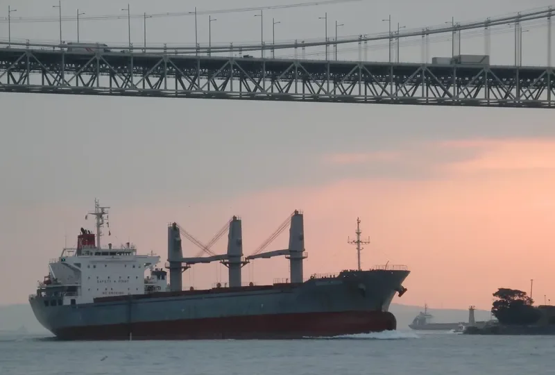 GHANTOUT Bulk Carrier IMO 9592898 photo 25