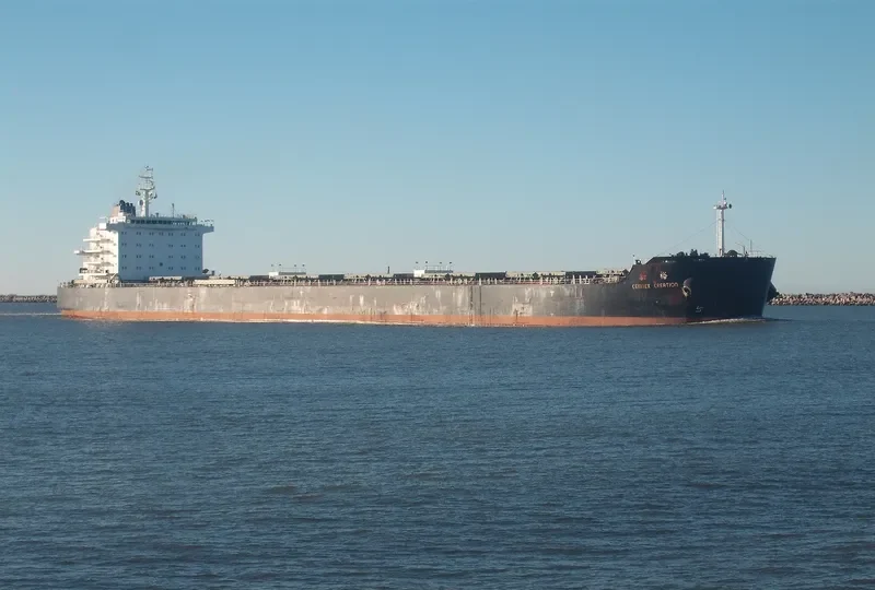 CEMTEX CREATION Bulk Carrier IMO 9593036