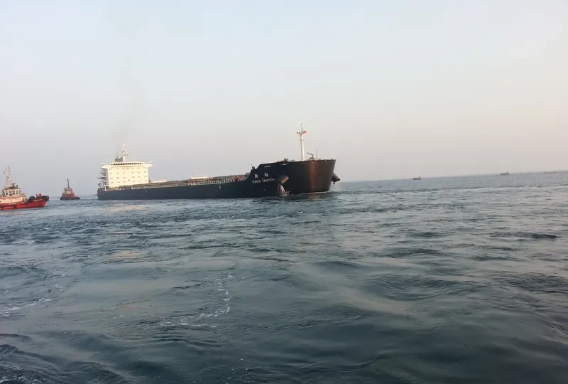 CEMTEX CREATION Bulk Carrier IMO 9593036 photo 4