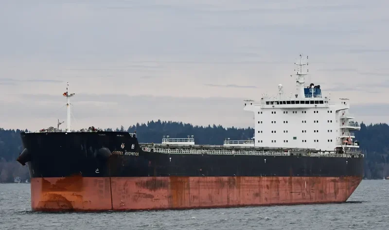 CEMTEX INNOVATION Bulk Carrier IMO 9593048