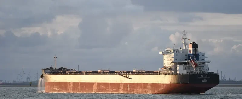 CEMTEX INNOVATION Bulk Carrier IMO 9593048 photo 3
