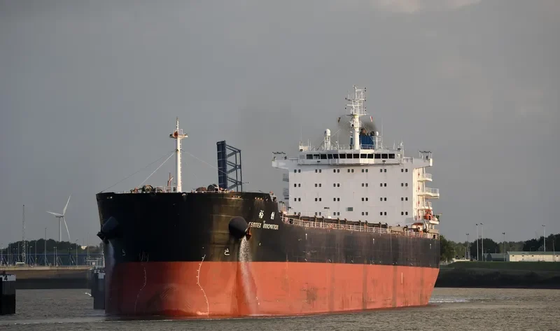 CEMTEX INNOVATION Bulk Carrier IMO 9593048 photo 4